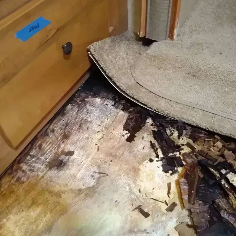 Best Wood Floor Water Damage Service in Lannon, WI